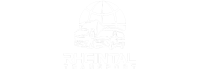 rheintaltransport